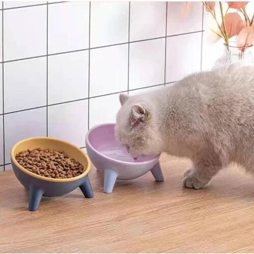 Pet Dog Cat Slow Feed Bowl Drinking Small Dog Protection Bowl 15° Tilt Pet Bowl with Stand Feeding Pet Bowls for Dogs Feeders