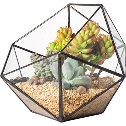 Glass Terrarium Storage Box Jewelry Holder,Glass Geometric Terrarium Tabletop Succulent Plant Box Planter Holder Case
