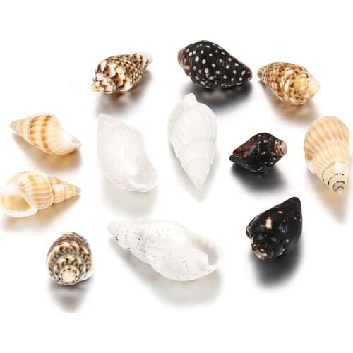 50g/Pack 6-17mm Natural Sea Shell Conch Beads For DIY Jewelry Making Findings Aquarium Fish Tank Landscape Without Holes