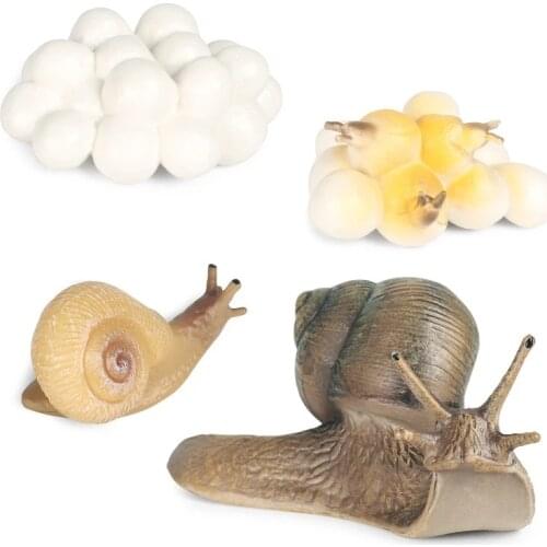 Simulation Animal Insect Model Mini Animals Snails Spider Growth Cycle Ornaments Kids Cognitive Educational Toys Gift