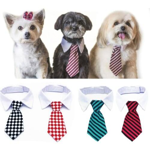 Cat Collar Puppy Dog Tie Grooming Striped Bowtie Collar Pet Adjustable Neck Tie White Collar Dog Necktie for Party Wedding