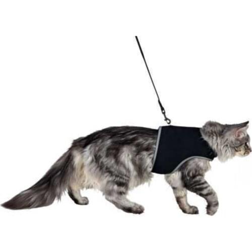 Cat Chest Leash Set, Xl, 36-54cm, 120cm