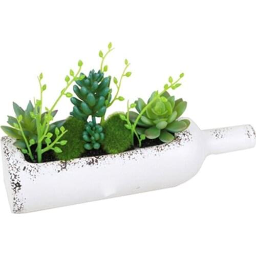 Green Plant Potted Wine Bottle Cola Bottle Decoration Ornaments Succulent Combination Flower Pot Simulation Plant Macetas