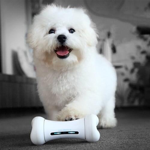 2020 New wickedbone Smart Pet app Controlled Electric Pet Toy Interactive Emotions Dog Toy