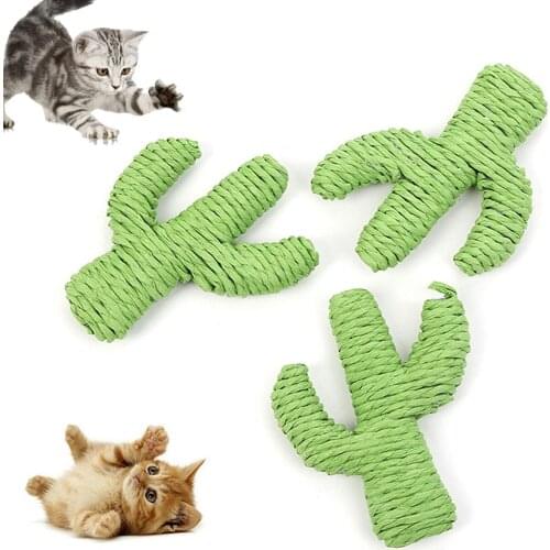 Pet Cat Kitten Cactus Shape Cute Soft Molar Grinding Claw Interactive Play Toy