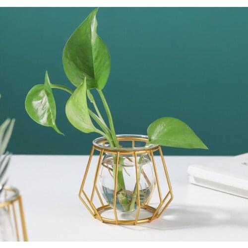 Pretty Decor Vase Simple Fine Workmanship Plant Vase Glass Mini Eye-catching Practical Decor Plant Vase for Living Room