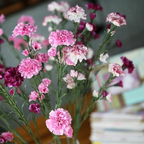 68cm Artificial Flowers Cheap for Christmas Home Wedding Decor Accessory Diy Mothers Day Gift Long Branch Fake Silk Carnation