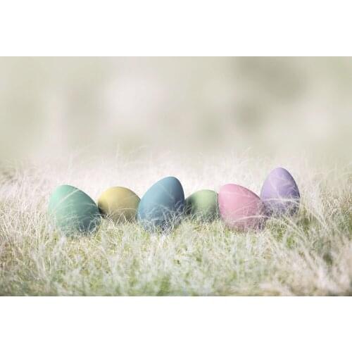 VinylBDS Easter Backdrops For Photography Blurry Fantasy Newborn Photography Background Microfiber Washable Studio Backdrop