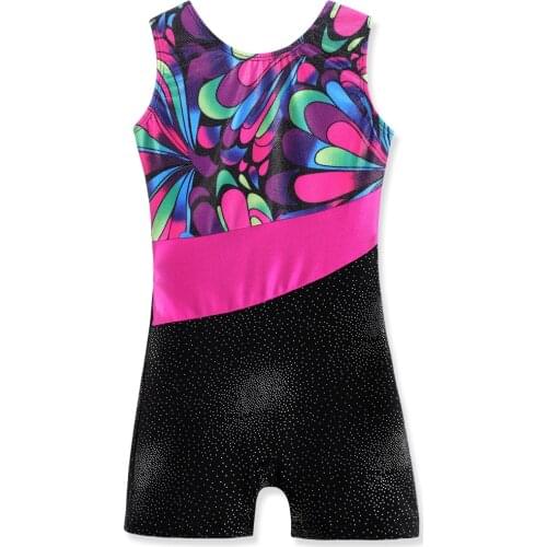 Girls Kids Gymnastics Leotards Biketards Sleeveless Gradient Dance Wear Pleaywear Activewear Tumblewear Athletic Leotards
