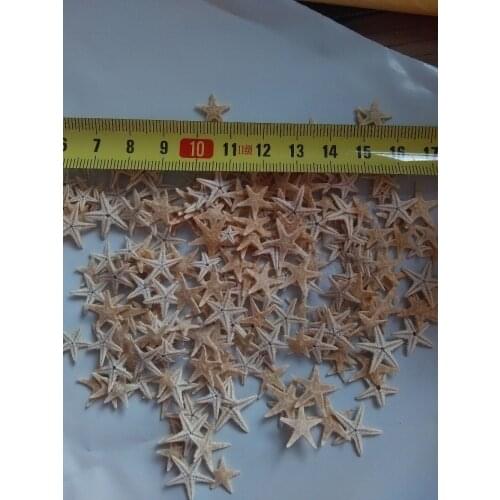 HappyKiss 100pcs 1-2cm Mini Starfish Decoration Craft Decoration DIY Beach Cottage Wedding Decor Nautical Sea Stars