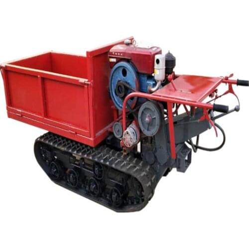 Chinese Construction Machine SY300B Tracked Crawler Dumper Mini Transporter