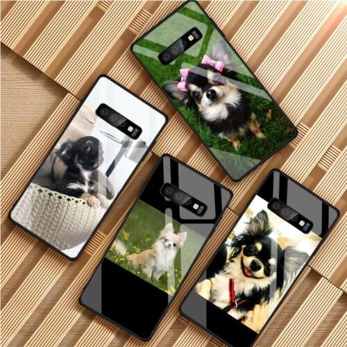 Chihuahua Dog Tempered Glass Phone Case For Samsung Galaxy S8 S9 S10 S20 PLUS J8 J6 J4 2018 NOTE 8 9 10