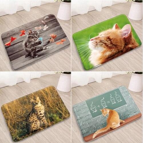 Cute Animals Bathroom Mat Pet Cats Woodboard Green Grassland Flowers Star Floormat Doorway Kitchen balcony Bath Non-Slip Carpet