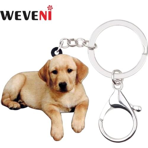WEVENI Acrylic Labrador Retriever Dog Key Chains Keychain Ring Hot Animal Jewelry For Women Girl Hot Lovers Bag Purse Car Charms