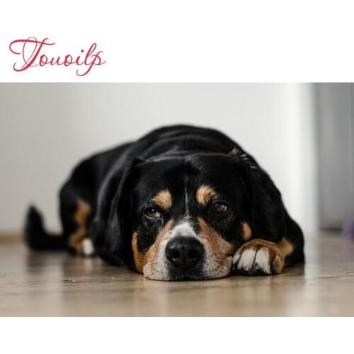 5D DIY German Shepherd dog diamond painting crystal plasticcrafts spuare&round diamond embroidery diamond decorative painting