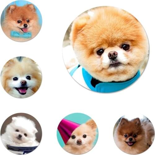 58mm Pomeranian dogs dog Icons Pins Badge Decoration Brooches Metal Badges For Clothes Backpack Decoration