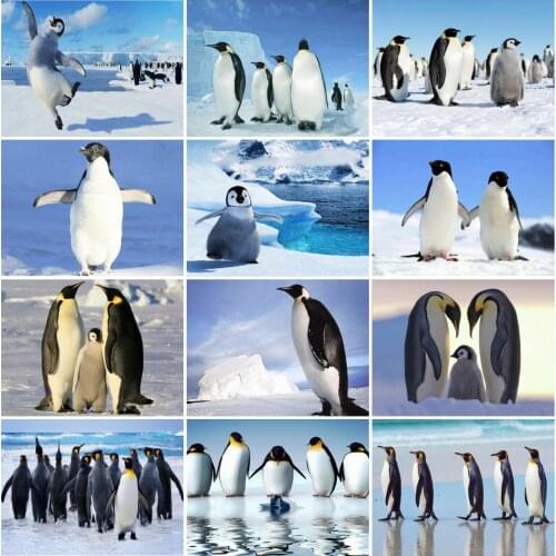 HUACAN DIY Diamond Embroidery 5D Penguin Painting Full Square Animal Picture Handcraft Mosaic Art Kit Home Decoration