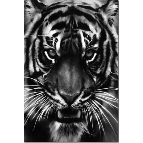 Tiger Head Face Animals Silk Fabric Wall Poster Art Decor Sticker Bright