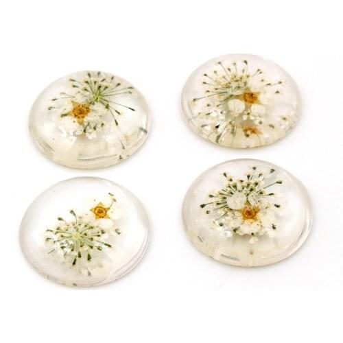 New Fashion 5pcs 25mm White Natural Dried White Chrysanthemum Flowers Cabochons Cameo-V1-05