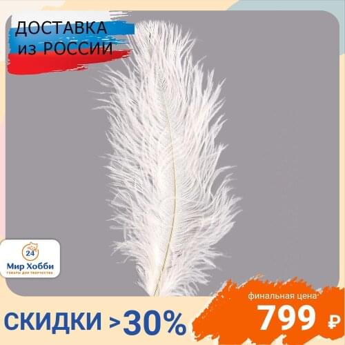 Айрис Decorative Feathers
