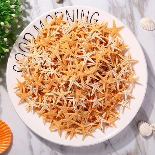 Mini Real Starfish Craft Decoration Natural Sea Stars DIY Beach Cottage Wedding Decor sea shells party sea conch