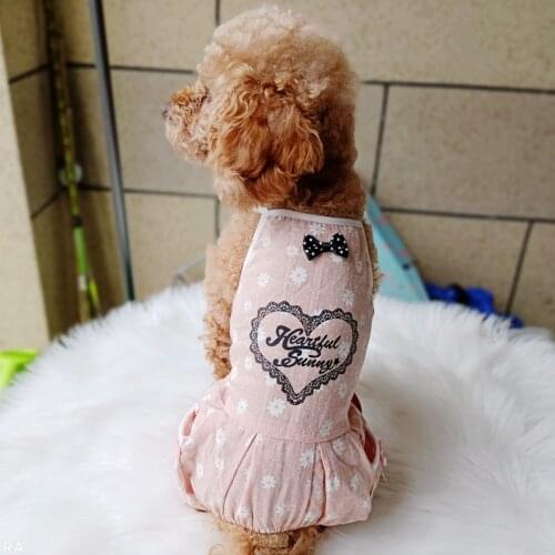 Summer Cooling Costume Overall for Puppy Cat Goods Designer Pet Clothing for Dog Animal Newest Lace Floral Yorkshire Chihuahua