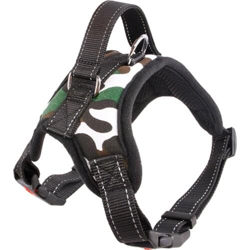 JONETING Harnesses
