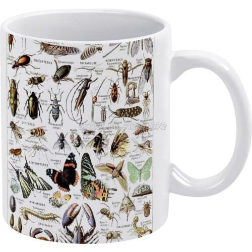 Arthropodes. Illustré Par Millot Dans Larousse Pour [ 1907 1910 ] Coffee Mugs 330ml Creative Travel Mug and Cup Office Drinkware