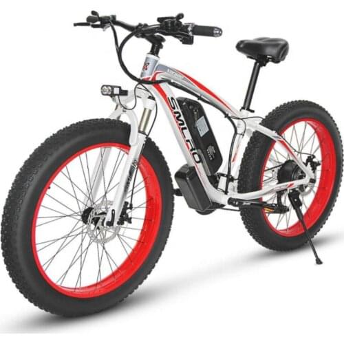 Evic Manufacturer Direct Xdc600 Fat Tire Disc Brake Ebike Electric Mountain Bicycle Electric Bike