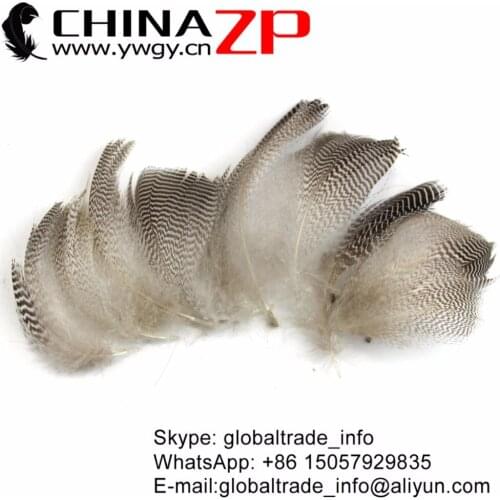 Retail and Wholesale from CHINAZP Factory www.ywgy.cn 1000pcs/lot Natural Mallard Duck Flank Feathers
