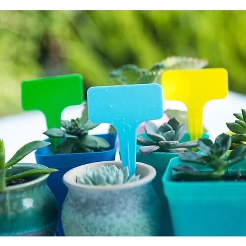 50/100Pcs T-shaped Thickened Plant Labels Garden Flowers Potted Markers Tags Gardening Label 12 Colors