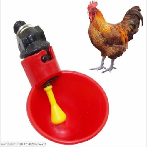 Chicken Feeder Drinker Poultry Bird Water Automatic Cups Chook Waterer