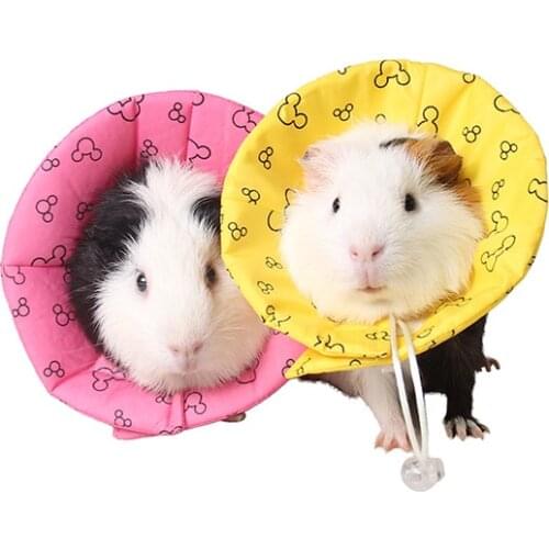 Small Pet Accessories Ferrets Guinea pig Hedgehog Hamster Dutch Rats Collar Medical Products Collar Harness