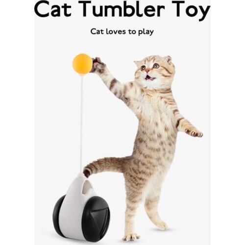 Fast Ship Tumbler Swing Toys For Cats Kitten Interactive Balance Car Cat Chasing Toy With Catnip Pet Products For Dropshipping