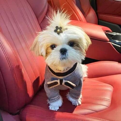 Winter Warm Pet Dog Sweater Jumper With Bowtie French Bulldog Clothes Hoodie Jacket Coat For Small Medium Dogs Costume GYC08