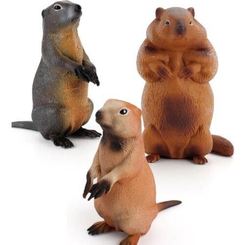 3PCS/Set Kids Toys Farm Animals models Realistic Groundhog PVC Figurines Action Toy Figures Model Educational Toy