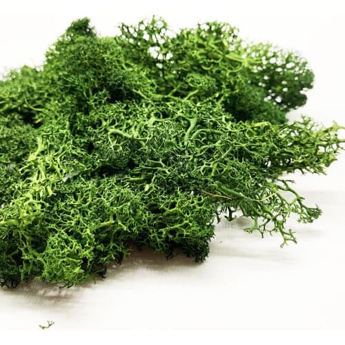 30g Lichen Moss Cluster for Bushes,Model Trees Foliage Scale Model Building Material Miniature Tree Model Raiway Layout Diorama