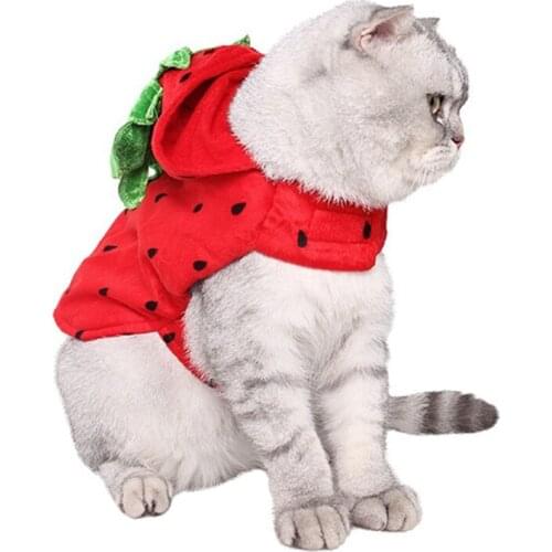 Pet Dog Clothing Costume Animals Fruit Strawberry Cat Costume Comfortable Pet Clothes Cat Sweater Pet Costume