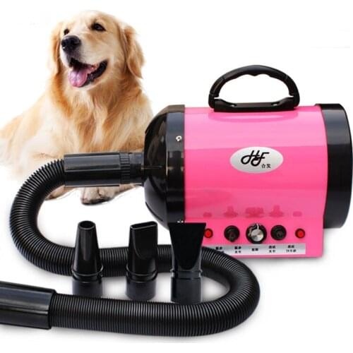Pet Water Blower Hair Dryer Large Dogs High Power Silent Warm and Cold Dryer 1200W