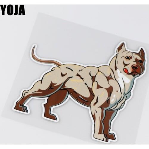 YOJA 15.8X15.8CM Interesting Vinyl Car Sticker Decal American Pit Bull Terrier Dog ZT3-0061