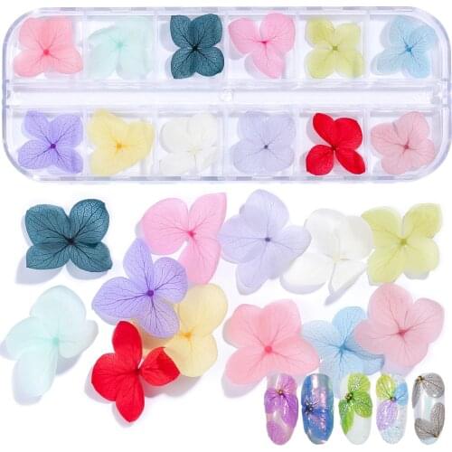 12 Colors fresh natural nail dry flowers box 3D nail Decoration tips Nail Jewelry For UV Gel beauty Manicure Tools