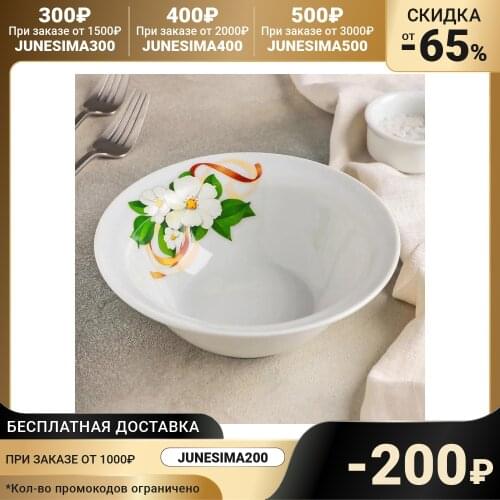 Добрушский фарфоровый завод Bowls