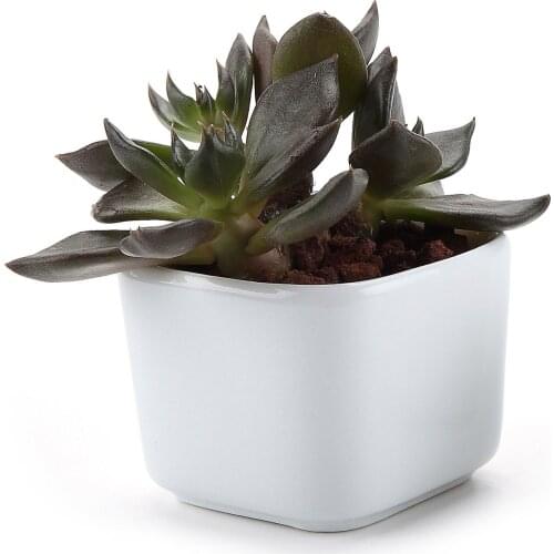 Ceramic White Mini Square Succulent Cactus Plant Pot Flower Pot/container/planter