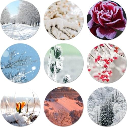 Winter Snow Flowers Fashion Refrigerator Magnet Bottle Opener Beer Coke Sue Bottle Opener