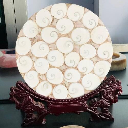 Natural crystal stone Ammonite Disc Fossil Conch Specimen Healing Home Decoration Chakra Reiki