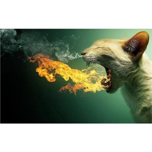 2021 New 5D DIY Full Round/Square Diamond Painting Angry Cat Cross Stitch 3D Embroidery Rhinestone Mosaic Home Decor Art Y1618