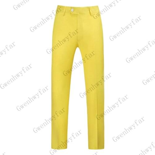 Gwenhwyfar Mens Fashion Pants