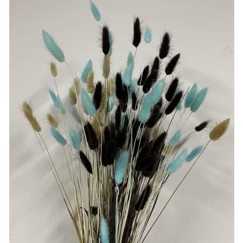 Natural Pampas Dried Flower Rabbit Tail Grass Bouquet Floral Lagurus Ovatus Wedding Home Decor Festive Fleur Eternelle