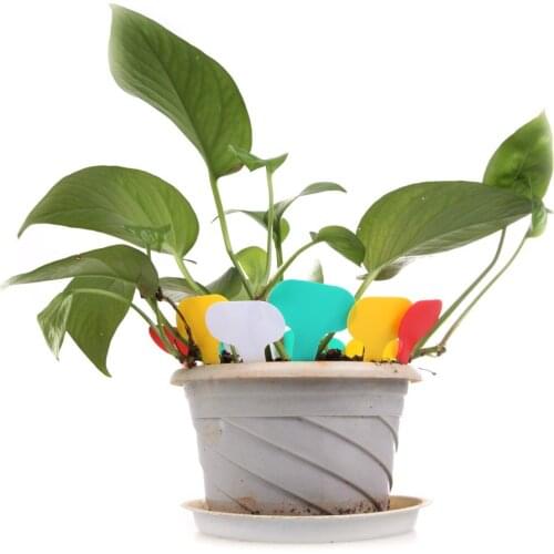100pcs Identification Frosted Sign Flower Tree Tag Mark Potted Plant Nursery Signs Prompt Card Plastic T-type Label