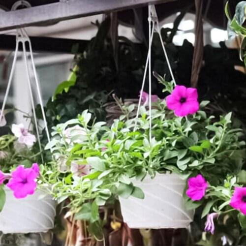 1 Set Flowerpot Breathable No Easy Broken Plastic Ivy Succulents Cactus Hanging Basin for Plants Pots Outdoor Indoor Accessories